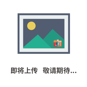 RBBJ帶彎管手持儀 石油化工、電子工業、冶金工業H2報警器